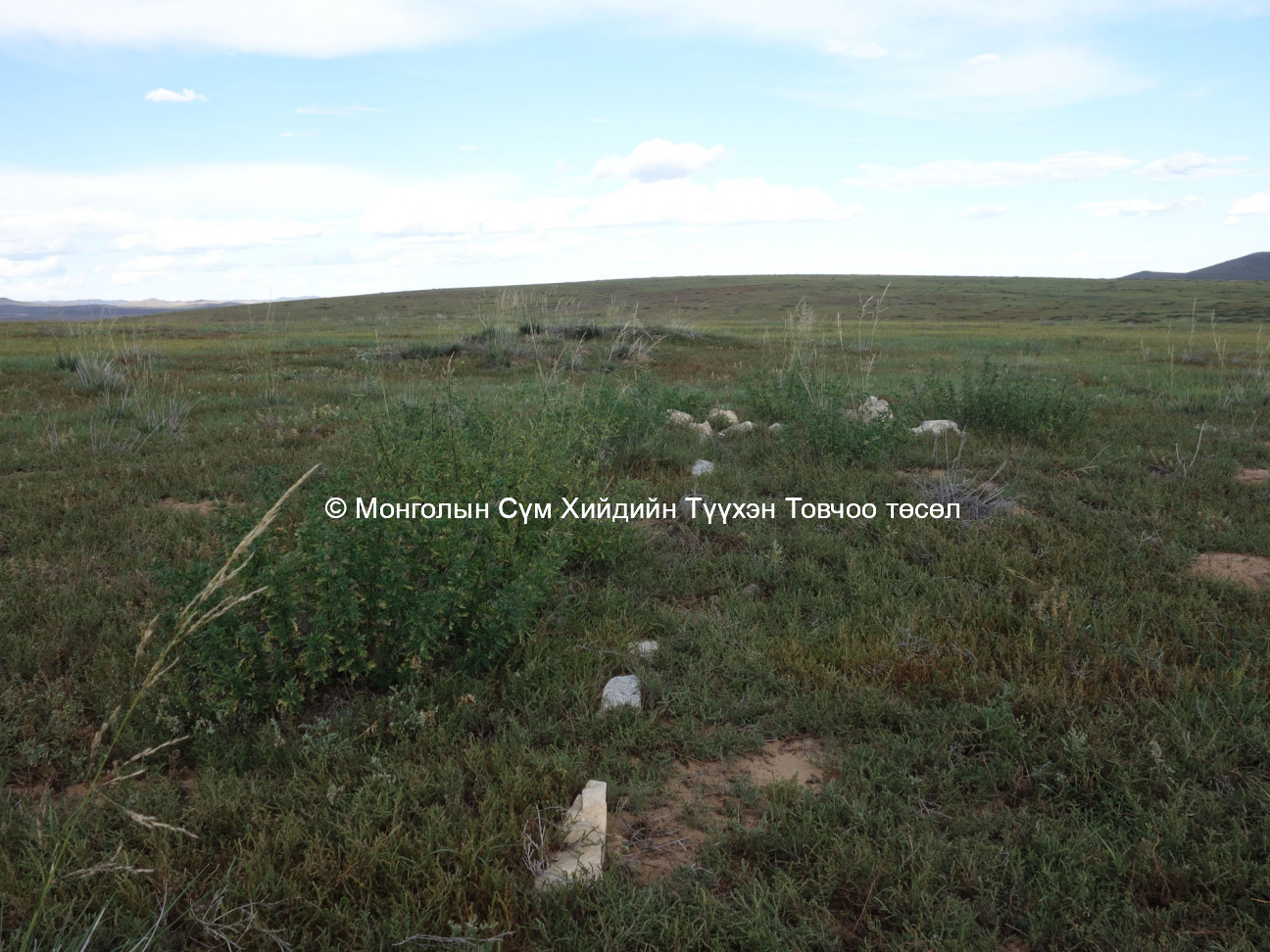 Outline stones on the site
